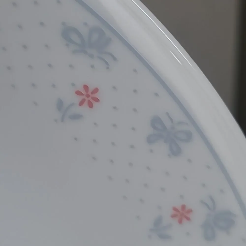Corelle country pride  2 pcs dinner plates 